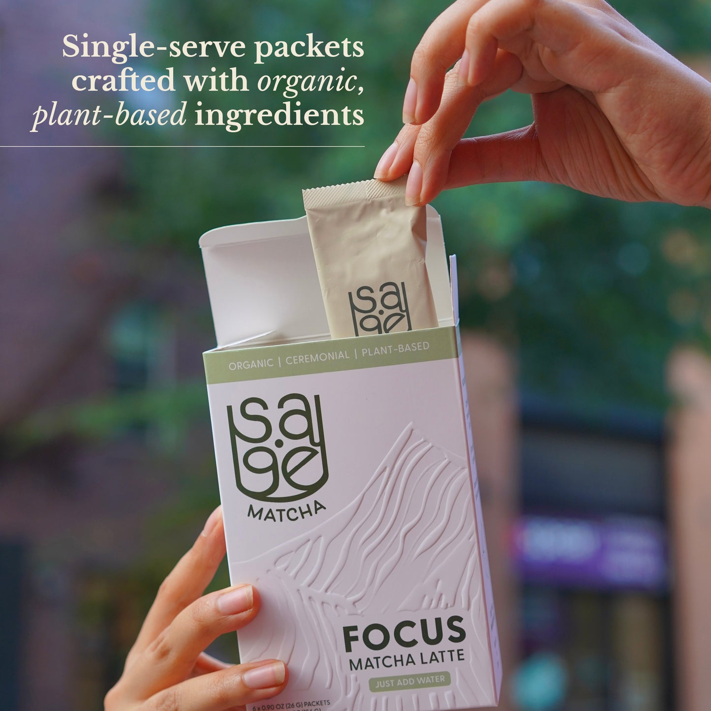 Focus - Organic Matcha Latte